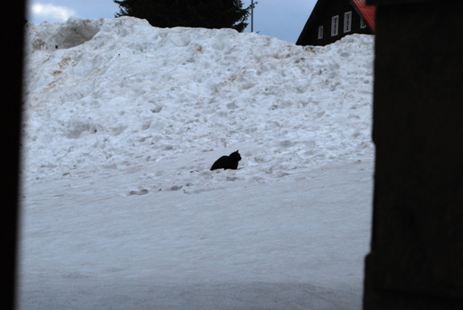 DSC_9379_8596.JPG
