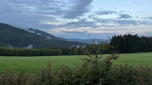 IMG_3249.JPEG