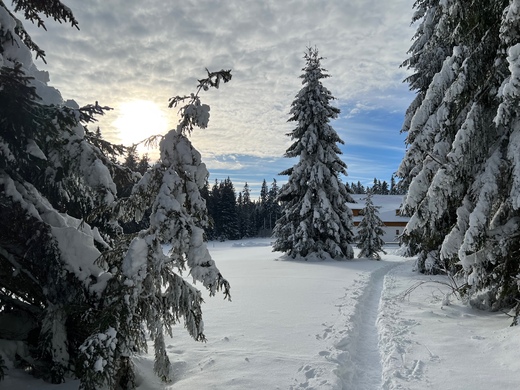 Kvilda-Lesní samoty- zima 2023