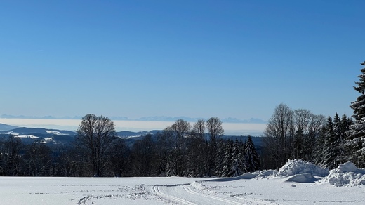 Alpy z Bučiny- únor 2023