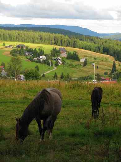 Kvilda srpen 2010