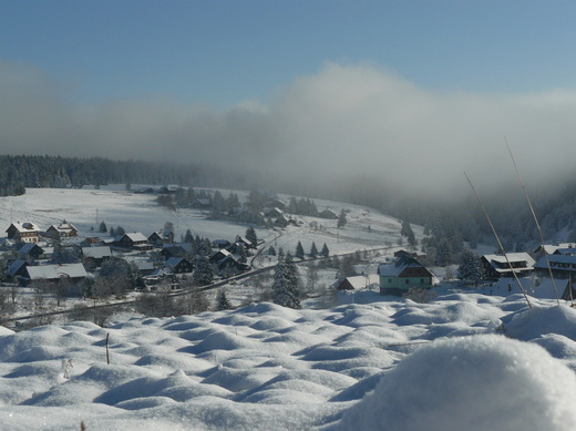 P1180646.JPG