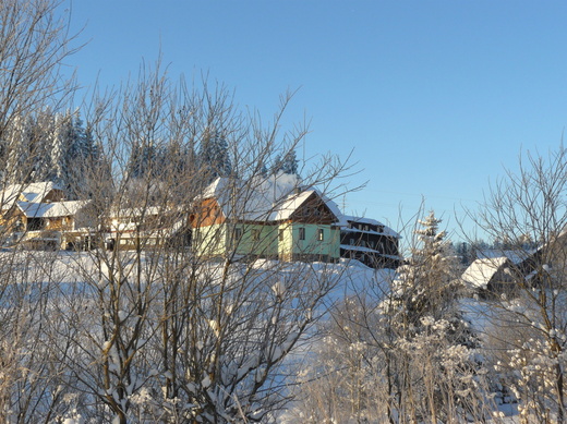 P1190120.JPG