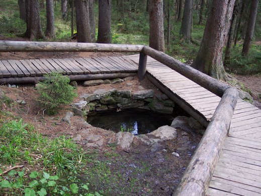 Pramen Vltavy-
